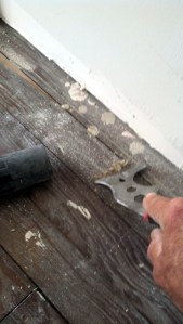 IMG_20140419_171336_021